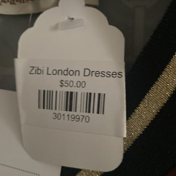 NWT Vanilla & Chocolat Zibi London Dress, sz L - Picture 7 of 7